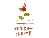 オーガニックコットン除草