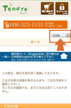 Tendre国際配送お買い物ガイド 医療用帽子専門店tendre タンドレ