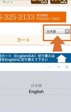 カート画面を日本語から英語にする為に、日本語のタブをEnglishのタブを下す